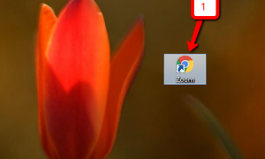 Использование Zoom в браузере
